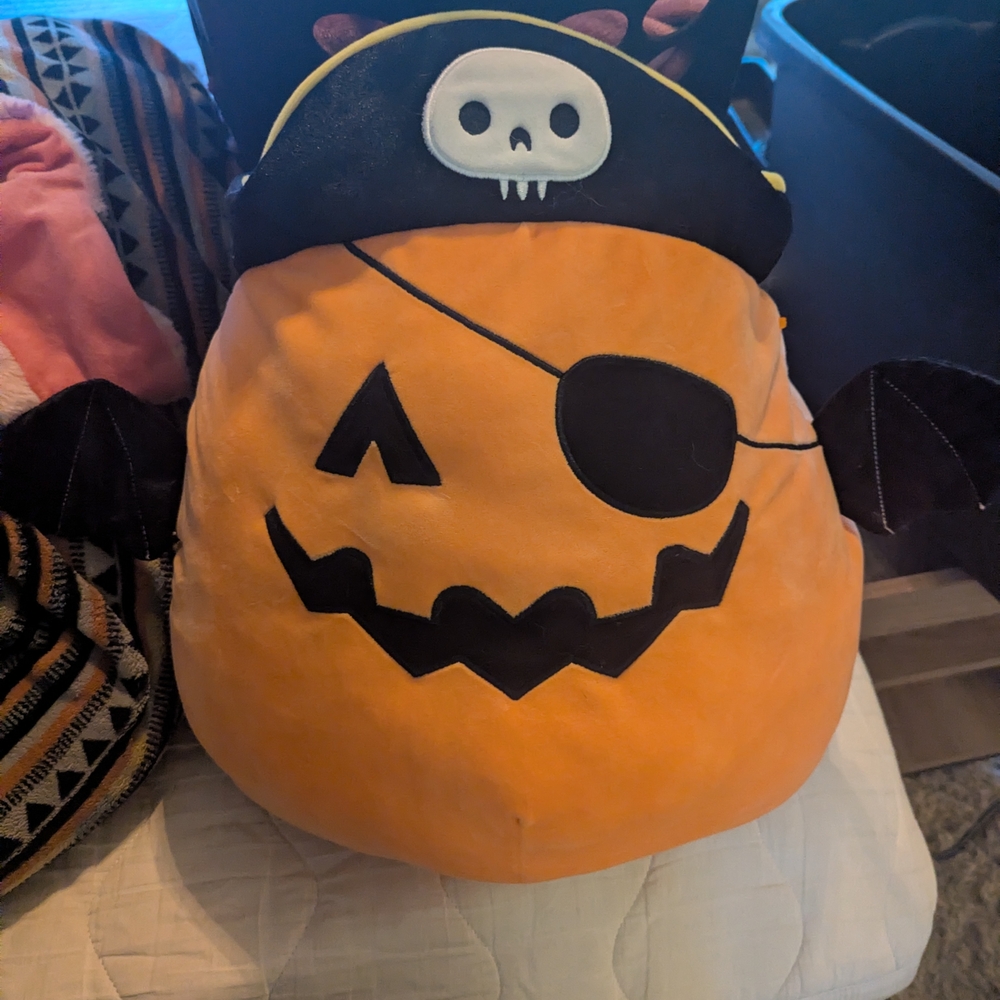 Paxton Pirate Squishmallow 16”